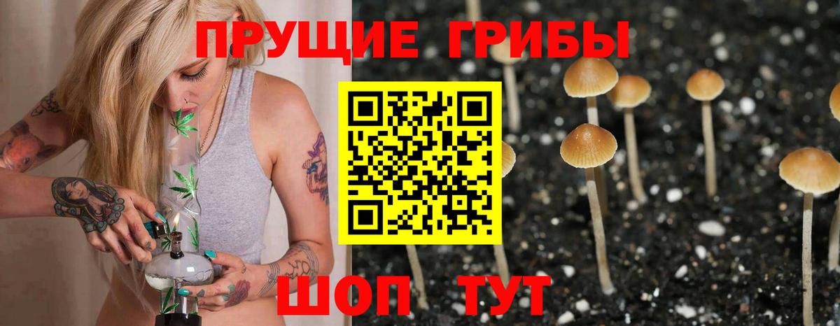 Псилоцибиновые грибы Magic Shrooms Грозный