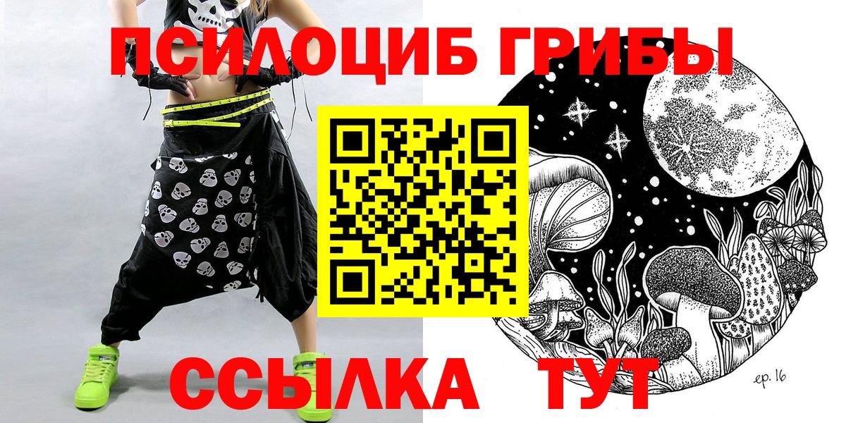 Грозный  как найти наркотики  Вход с VPN  Галлюциногенные грибы MAGIC MUSHROOMS 